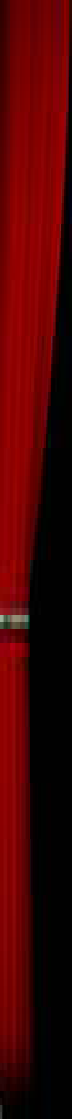 wp00000000.png