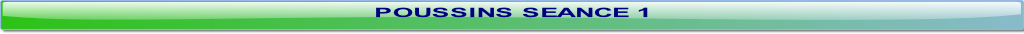 wp2a81302f.png