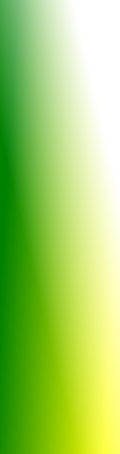 wp6783cccd.png