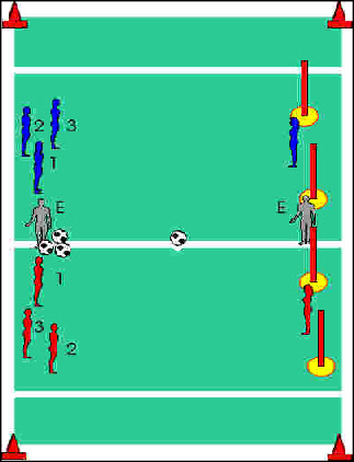 wp9b1c5ec7_0f.jpg