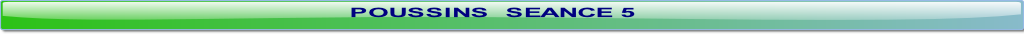 wp9f9c1181.png