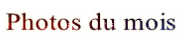 wpe9a19d27.png
