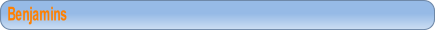 wpec2db9c9.png